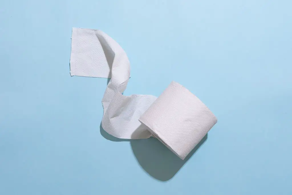 Image of toilet paper roll on light blue background: source: claire mueller, unsplash