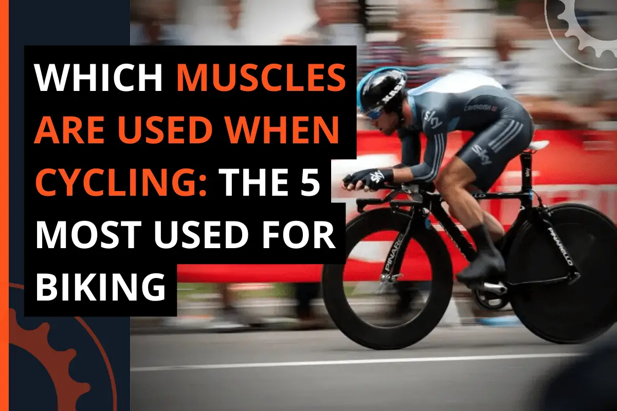 Thumbnail for a blog post which muscles are used when cycling: the 5 most used for biking